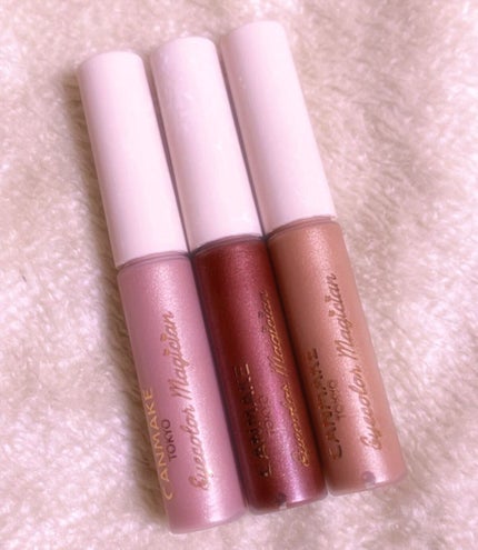 アイカラーマジシャン/キャンメイク/アイシャドウを使ったクチコミ(2枚目)