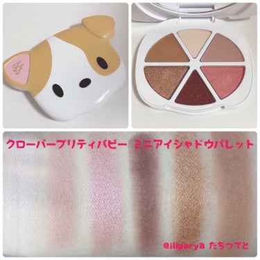 シナモン ベア メイクアップ コレクション/Too Faced/パウダーアイシャドウを使ったクチコミ（3枚目）