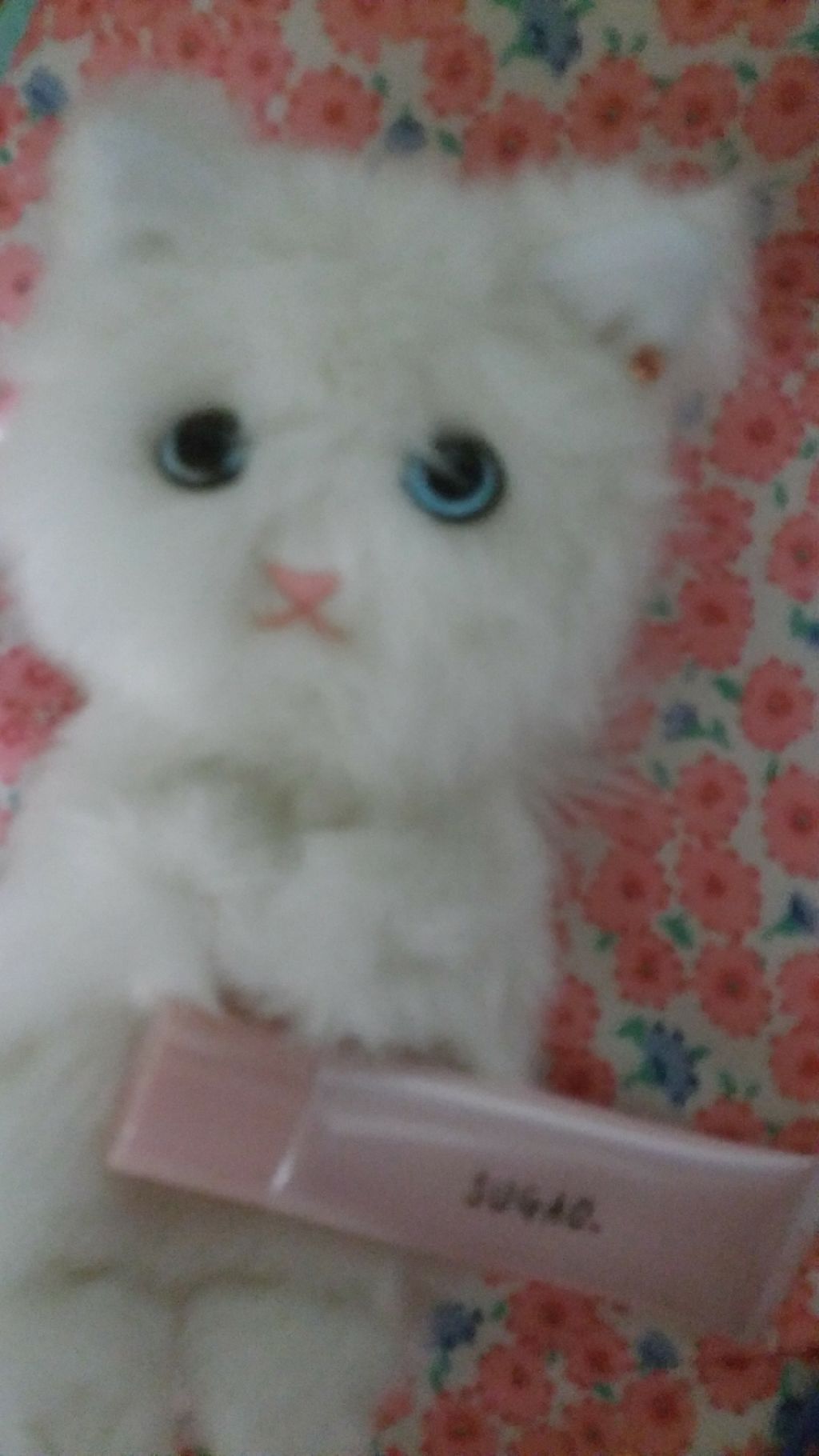 スノーホイップクリーム/SUGAO®/化粧下地を使ったクチコミ（2枚目）