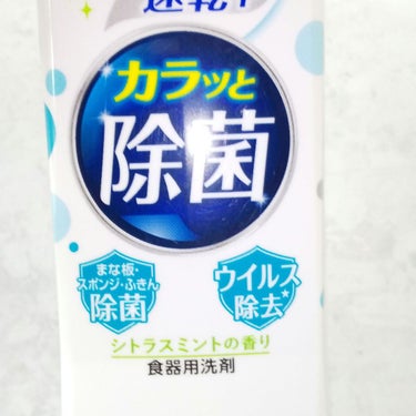 薬用泡ハンドソープ 本体 大型サイズ 500ml/キレイキレイ/ハンドソープの画像