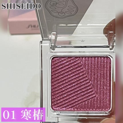オーラデュウ プリズム イルミネーター ピコ/SHISEIDOザ・メーキャップ/単色アイシャドウを使ったクチコミ(4枚目)