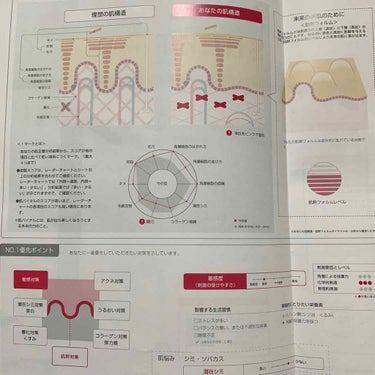 APEX マンスリースキンケアプログラム(旧)のクチコミ「POLA APEXを1年6ヶ月使ってみて




私の肌はAPEXで管理してもらってます。
A.....」（1枚目）