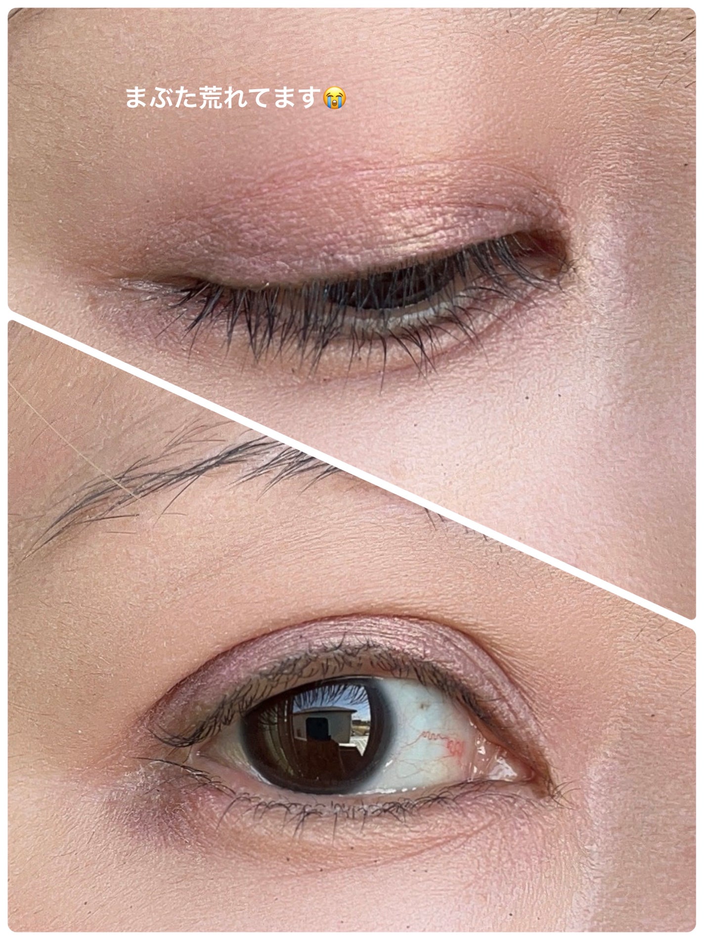 オンブルクルールソロ/クレ・ド・ポー ボーテ/単色アイシャドウを使ったクチコミ(2枚目)