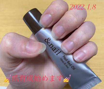 ネイルベッドオイル/アンドネイル/ネイルオイル・トリートメントを使ったクチコミ(1枚目)