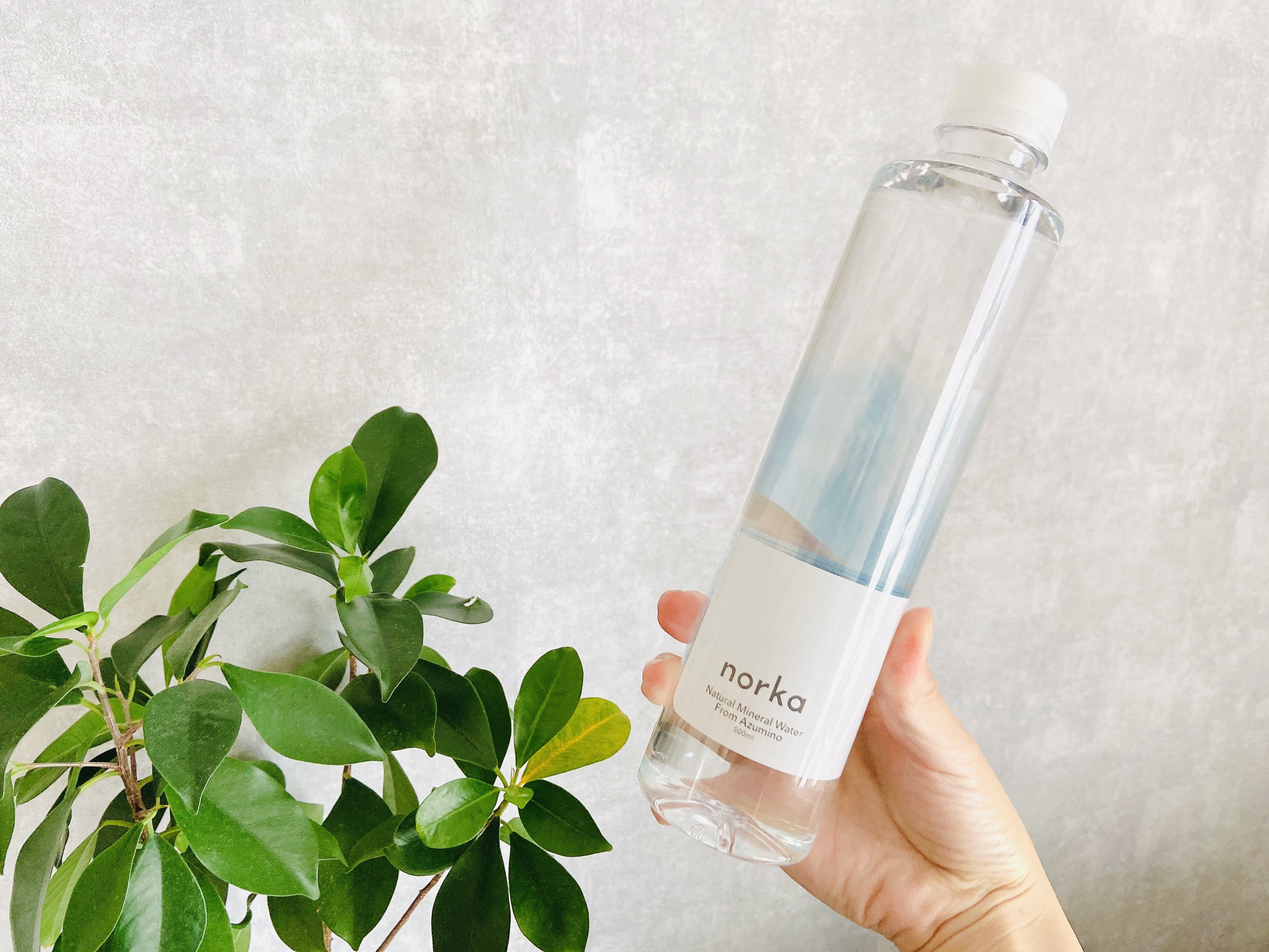 ナチュラルミネラルウォーター/norka/ミネラルウォーターを使ったクチコミ（2枚目）