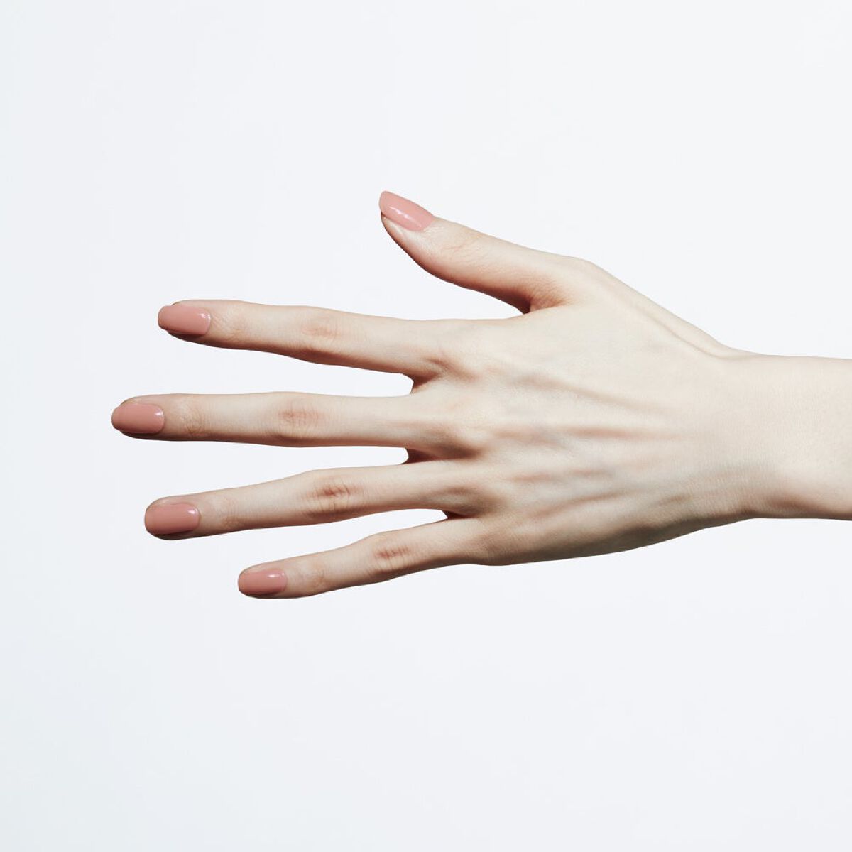 ピンクスタディ スリー 8/3