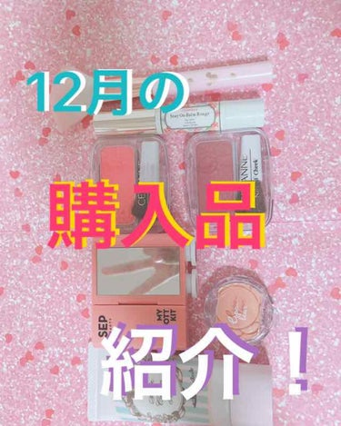 
こんにちは！今回は12月の購入品紹介をしようと思います！

一日に何回投稿すんねん！？

とお思いの方、挙手。

ま、ということで12月は、

クラブのすっぴんクリームと
セップ#ＭＯＴＴキットと、
