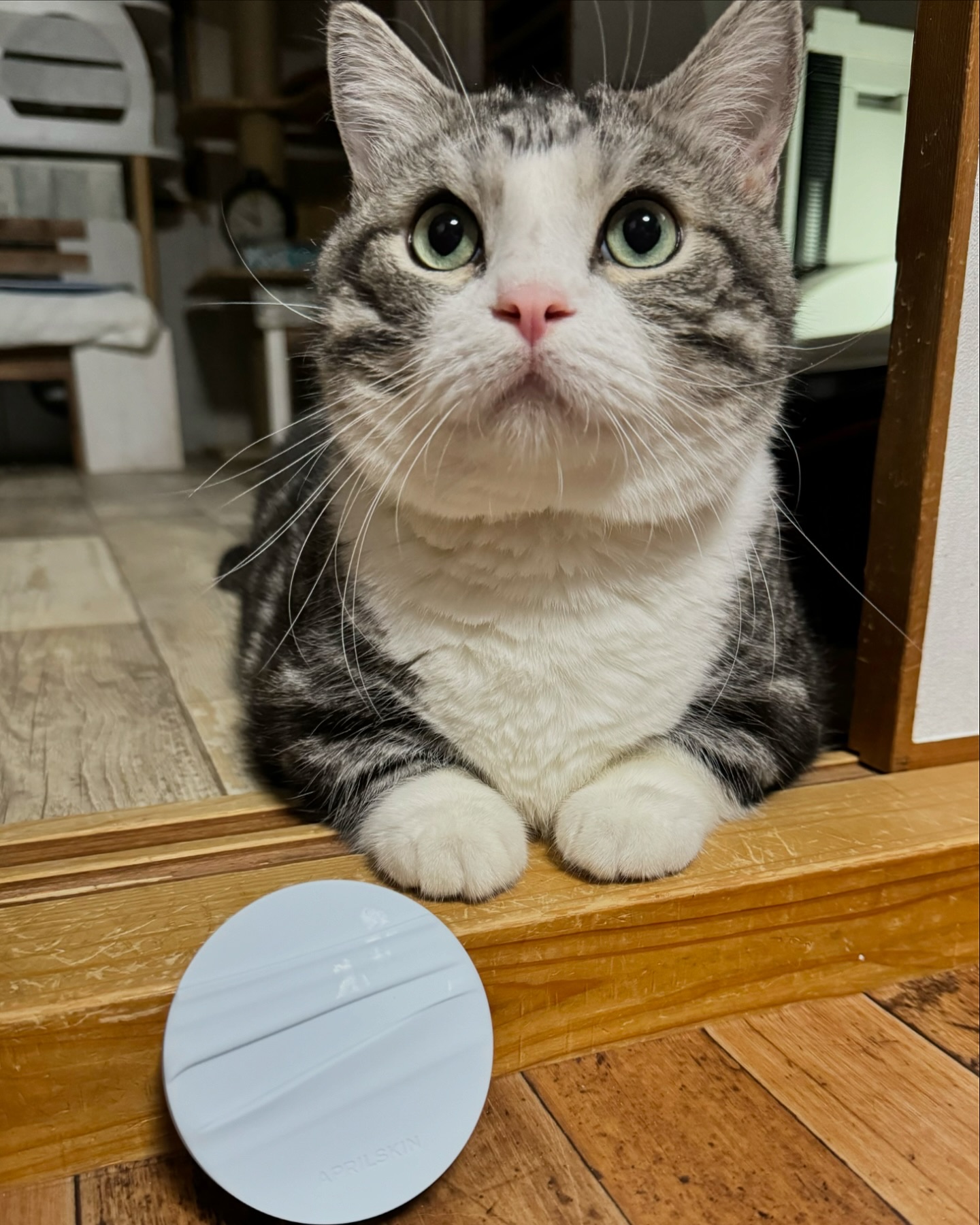 エイプリルスキンのグロウマットクッションです。モニターイベントに当選しました！
エイプリルスキンさんのコスメ、私はとても気に入ってリピ買いして、無くなると困るのでストックしています😆(5枚目)
今回のファンデは使ったことがないので、とても