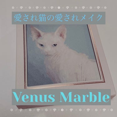 Venus Marble アイシャドウキャットシリーズ スフィンクス/Venus Marble/アイシャドウパレットを使ったクチコミ（1枚目）