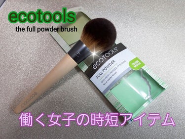 ecotools 【the full powder】
購入価格:994円(購入時)

まずご覧頂きたいのはこの毛量。

日本で発売されている製品でこれだけの毛量をほこるものが果たしてあるだろうか。
しか