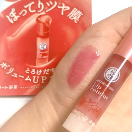 メンソレータム リップフォンデュ/メンソレータム/リップバームを使ったクチコミ(1枚目)