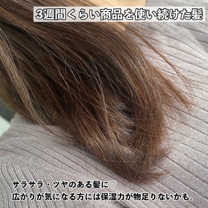 ã·ã£ã³ããŒ/ããªãŒãã¡ã³ã SR/CLAYGE/åžè²©ã·ã£ã³ããŒã䜿ã£ãã¯ãã³ãïŒ5æç®ïŒ