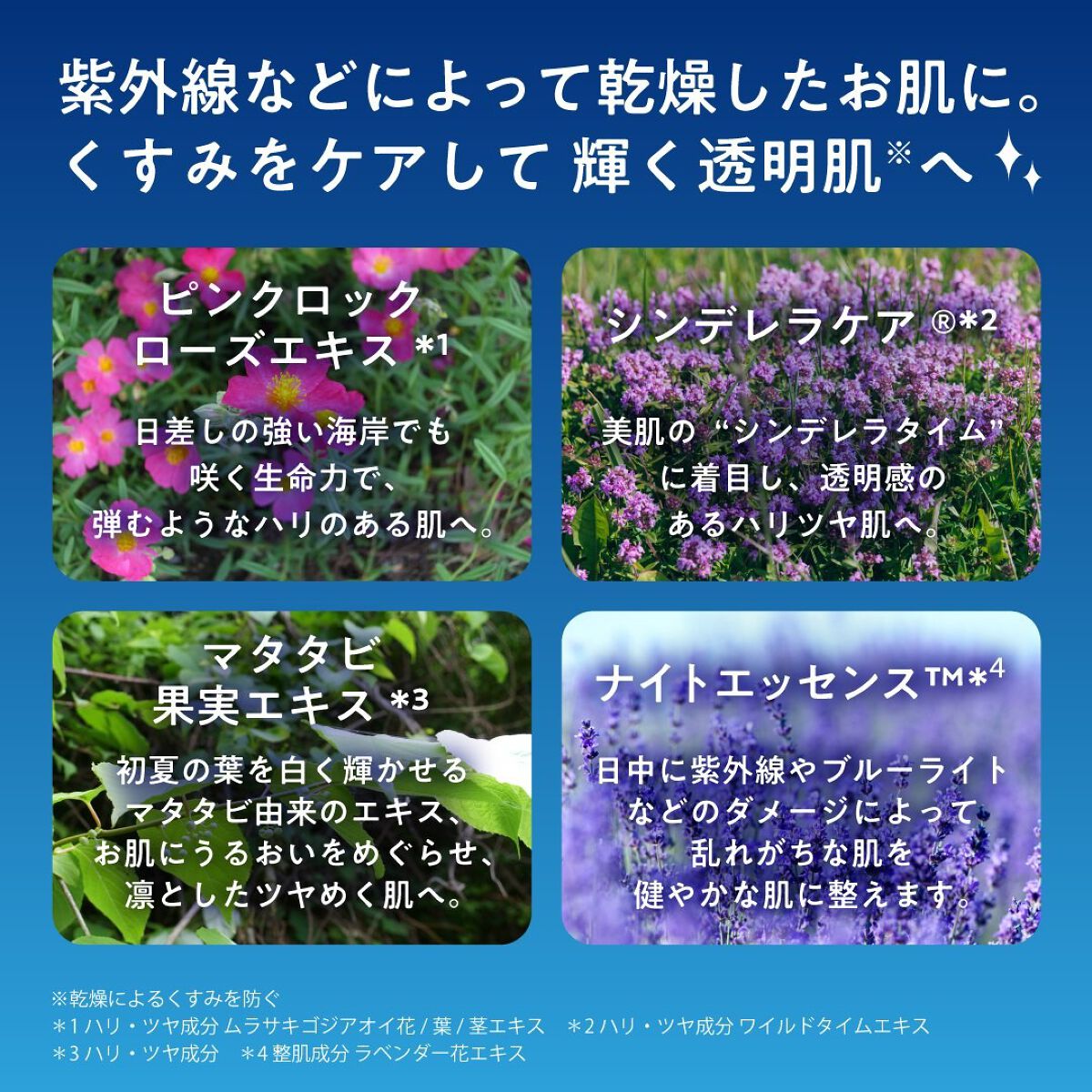 ルルルンワンナイト レスキュー透明感/ルルルン/シートマスク・パックを使ったクチコミ(2枚目)