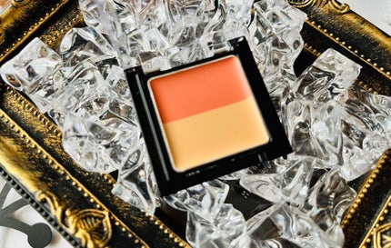 リシェ レッドトリック アイコンシーラー/Visée/パレットコンシーラーを使ったクチコミ(2枚目)