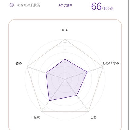 FLES DISCOVERY KIT/FLES /トライアルキットを使ったクチコミ(10枚目)
