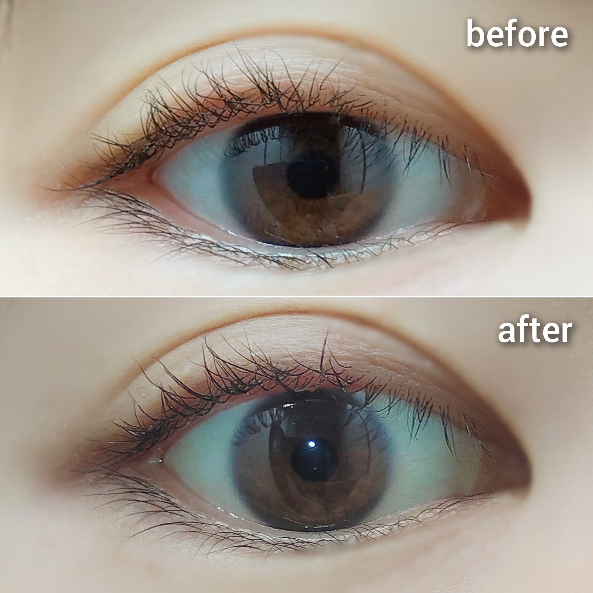 SISクリアマスカラ/エレガンス/マスカラを使ったクチコミ（3枚目）