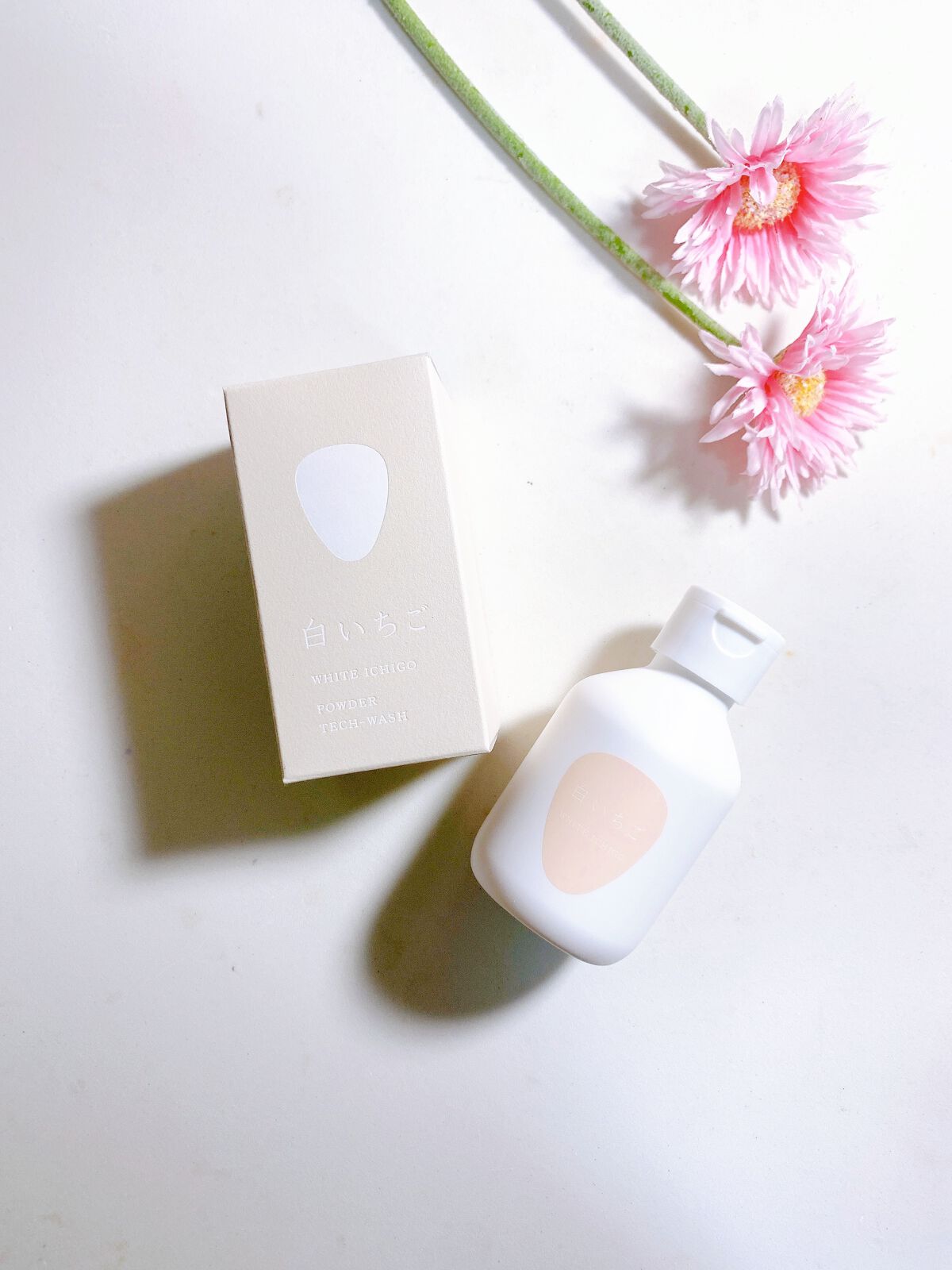 パウダーテック・ウォッシュ/WHITE ICHIGO/洗顔パウダーを使ったクチコミ(9枚目)