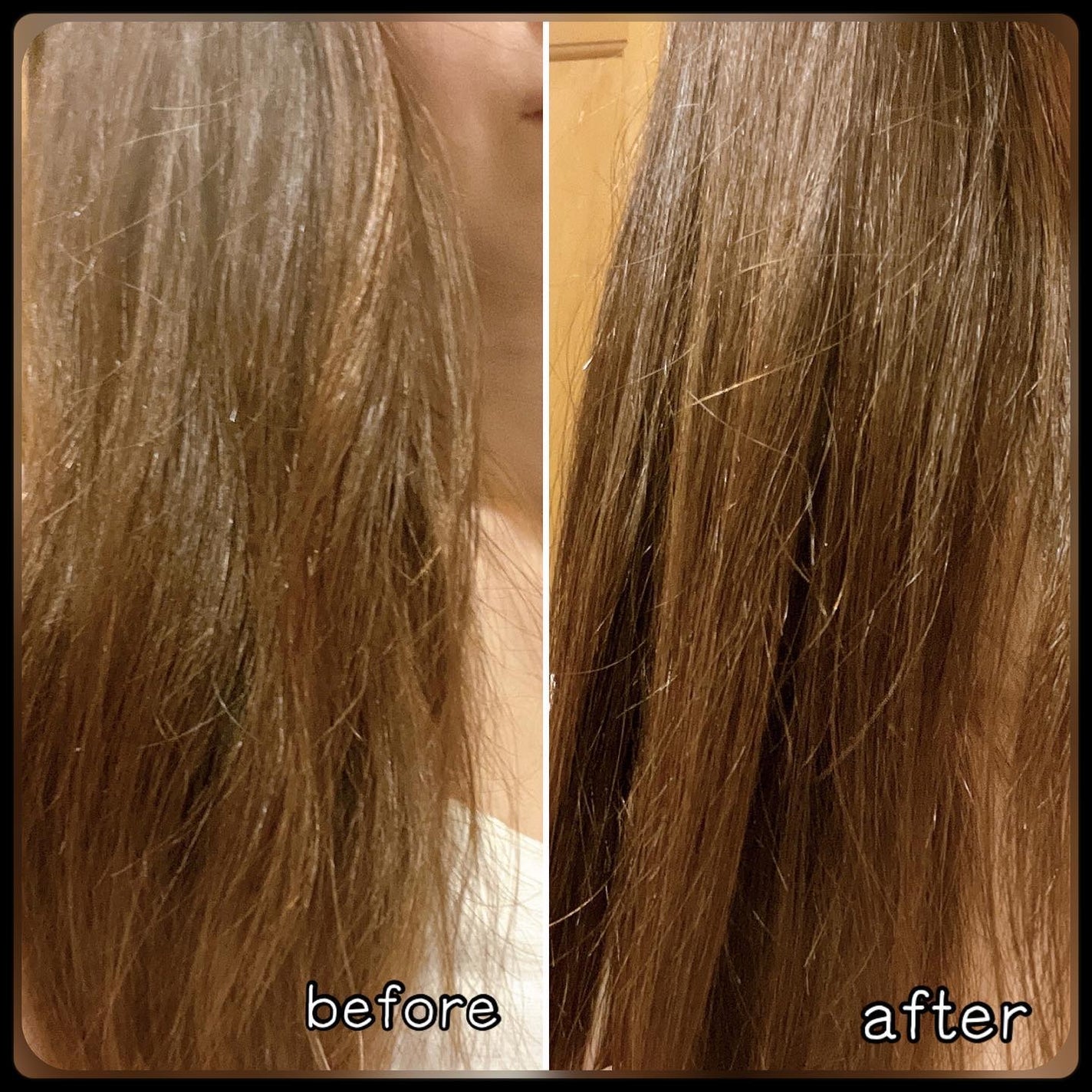 シャンプー/コンディショナー うねる髪もまとまる/セグレタ/市販シャンプーを使ったクチコミ(8枚目)