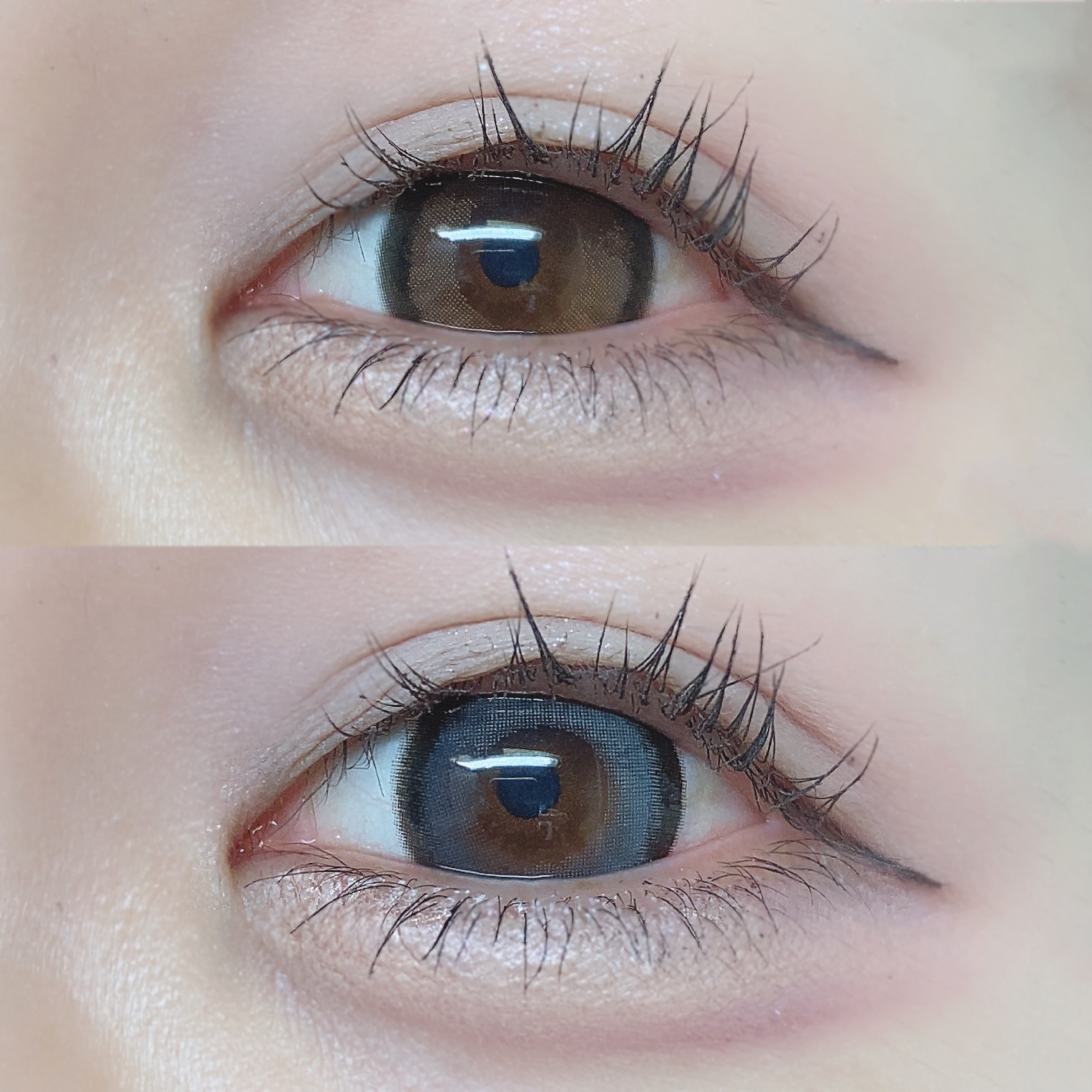 secretcandymagic 1day(シークレットキャンディーマジック）/secret candymagic/ワンデー（１DAY）カラコンを使ったクチコミ（3枚目）