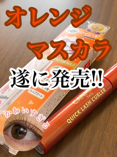 もう可愛い！！
CANMAKEさん最高！！！

遂にでた！
オレンジマスカラ！
ずっと出てくれないかなぁって思ってたから
めちゃくちゃ嬉しい🥰💖

使用してみて思ったのが
オレンジとブラウンが混ざったよ