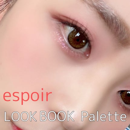 2021 F/Wルックブックパレット/espoir/アイシャドウパレットを使ったクチコミ(2枚目)