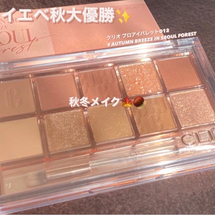 プロ アイ パレット/CLIO/アイシャドウパレットを使ったクチコミ(1枚目)