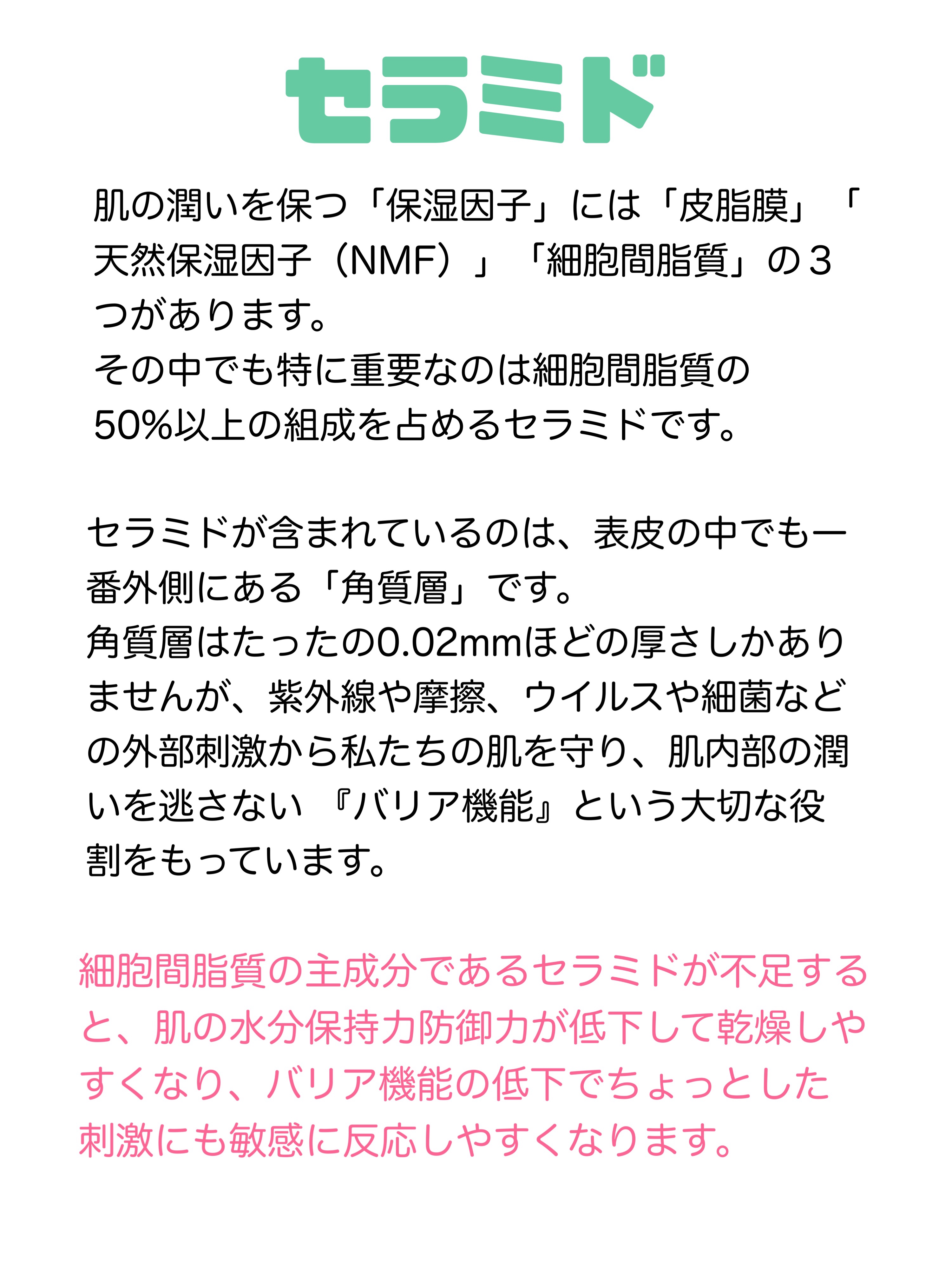 潤浸保湿 泡洗顔料/キュレル/泡洗顔を使ったクチコミ（2枚目）