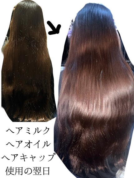 オイルインシャンプー/オイルインコンディショナー (グロス&リペア)/ディアボーテ/市販シャンプーを使ったクチコミ(3枚目)