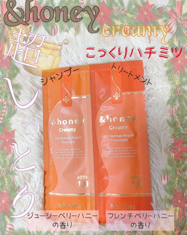 Creamy EXダメージリペアシャンプー1.0/ヘアトリートメント2.0 お試し（シャンプー10ml＋トリートメント10g）/&honey/シャンプー・コンディショナーを使ったクチコミ（1枚目）