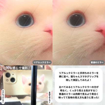 リアルックミラー/ロージーローザ/その他化粧小物を使ったクチコミ(3枚目)