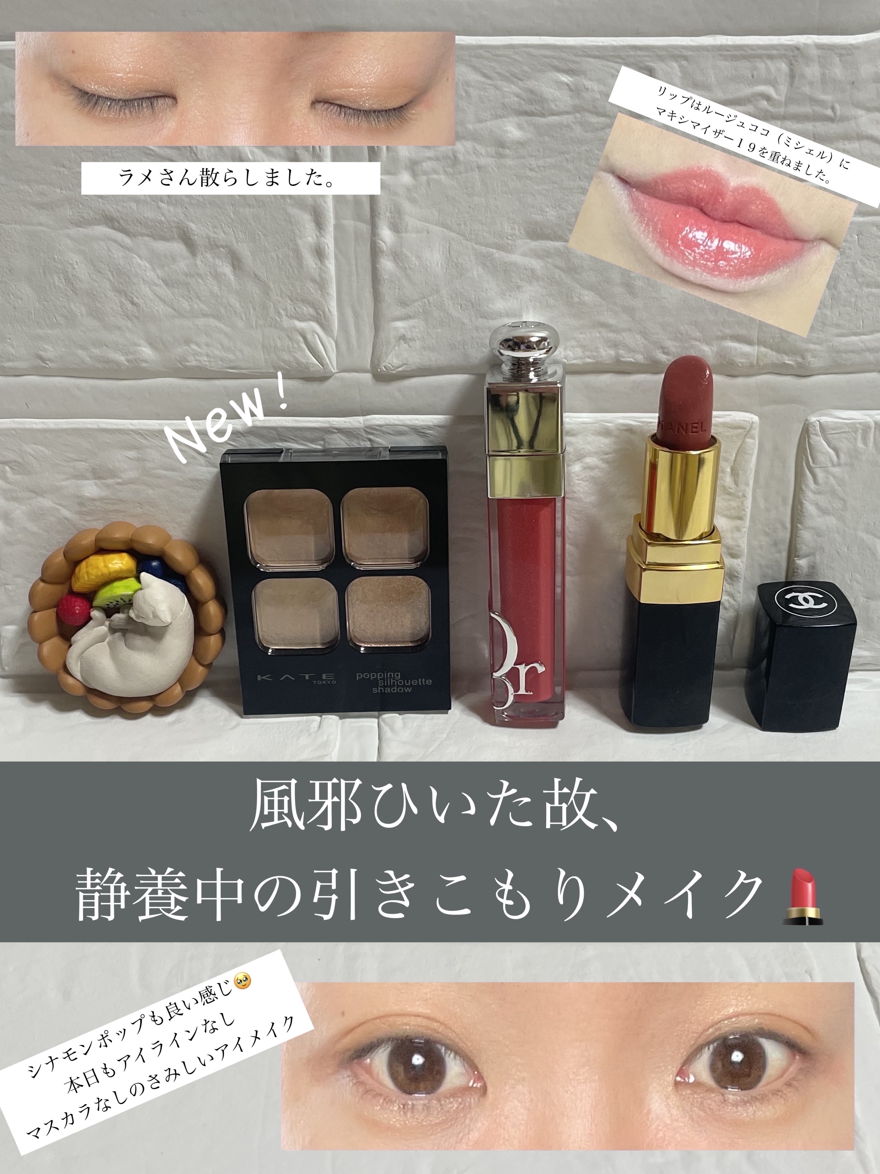 ルージュ ココ/CHANEL/口紅を使ったクチコミ（1枚目）