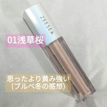 ダイヤモンドシリーズ 星空リキッドアイシャドウ/ZEESEA/リキッドアイシャドウを使ったクチコミ(1枚目)