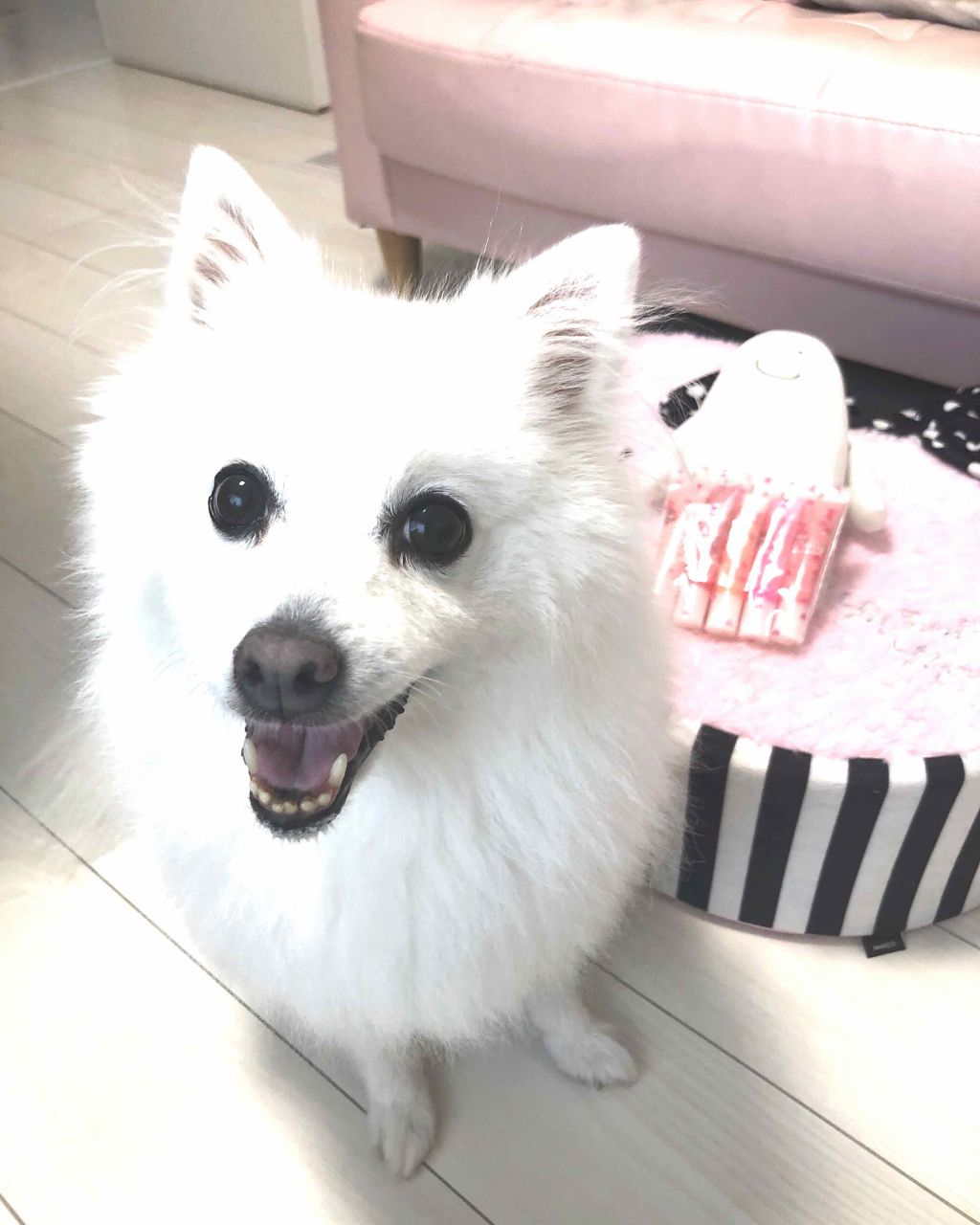 ジューシー ポップ チューブ グロス/ETUDE/リップグロスを使ったクチコミ(1枚目)