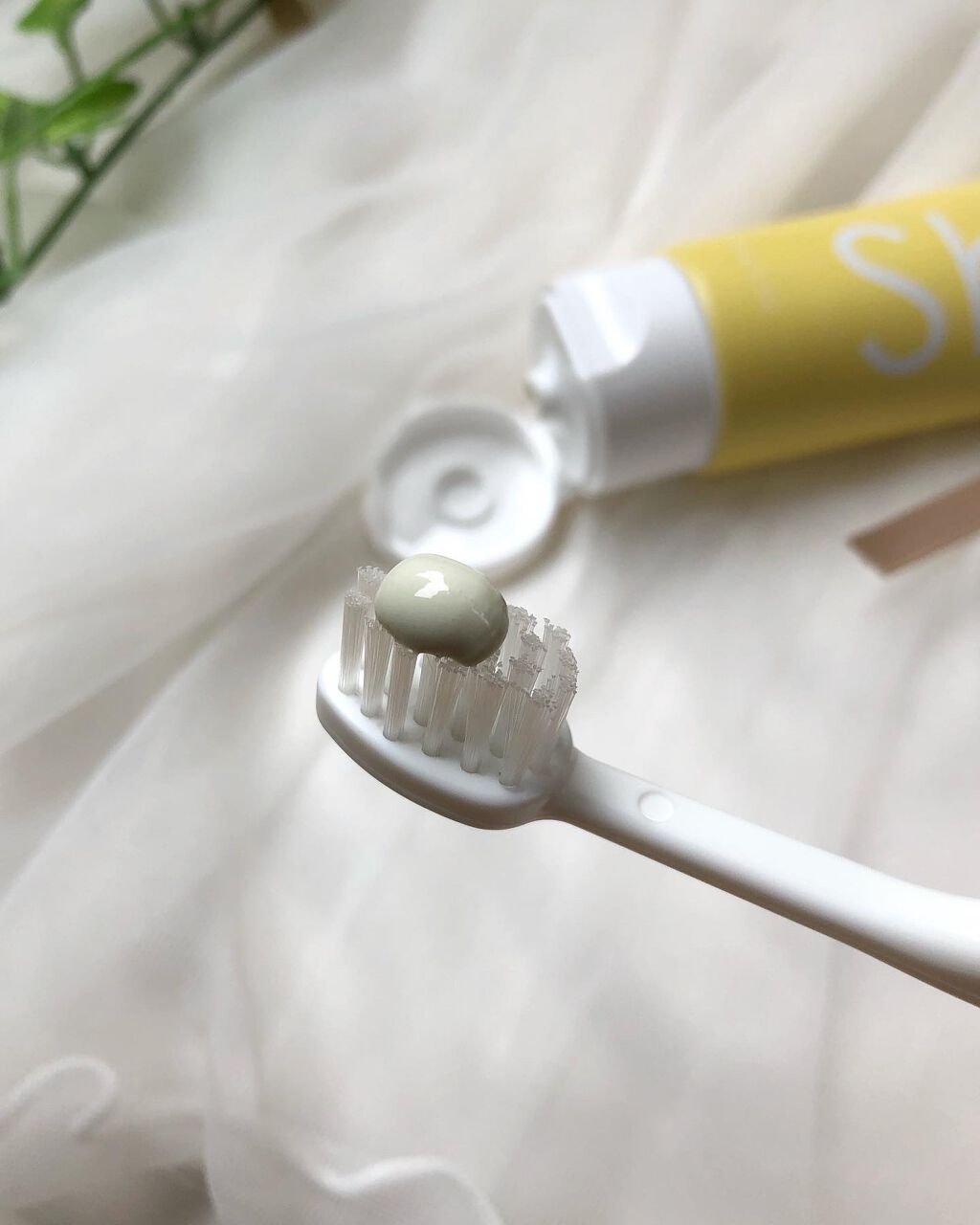 シローラクレイホワイトニング/Shirora/歯磨き粉を使ったクチコミ（2枚目）