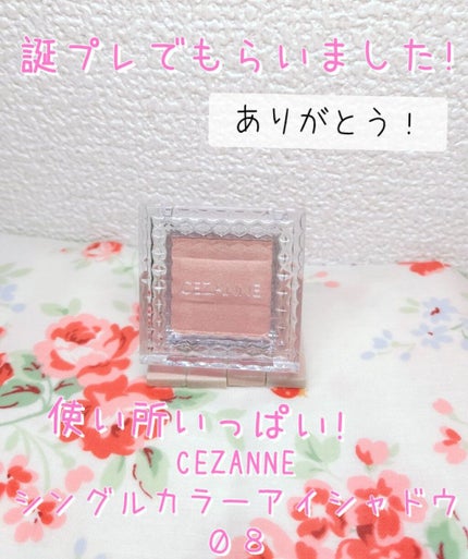 シングルカラーアイシャドウ/CEZANNE/単色アイシャドウを使ったクチコミ(1枚目)