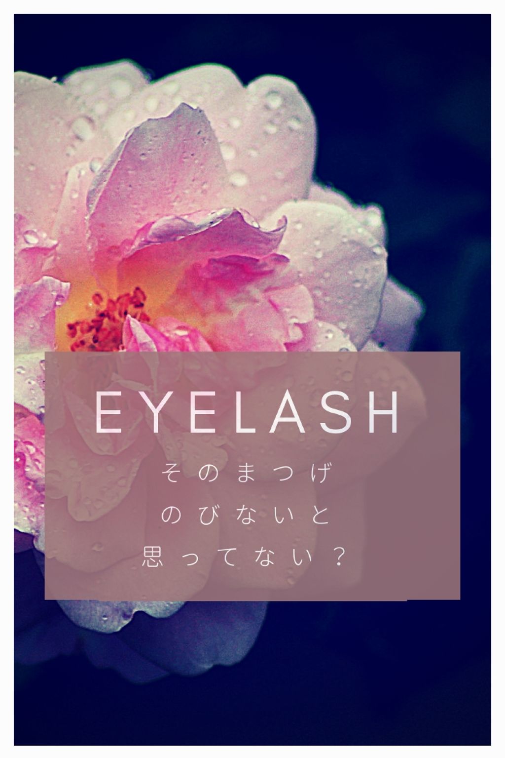 THE まつ毛美容液/flowfushi/まつげ美容液を使ったクチコミ（1枚目）