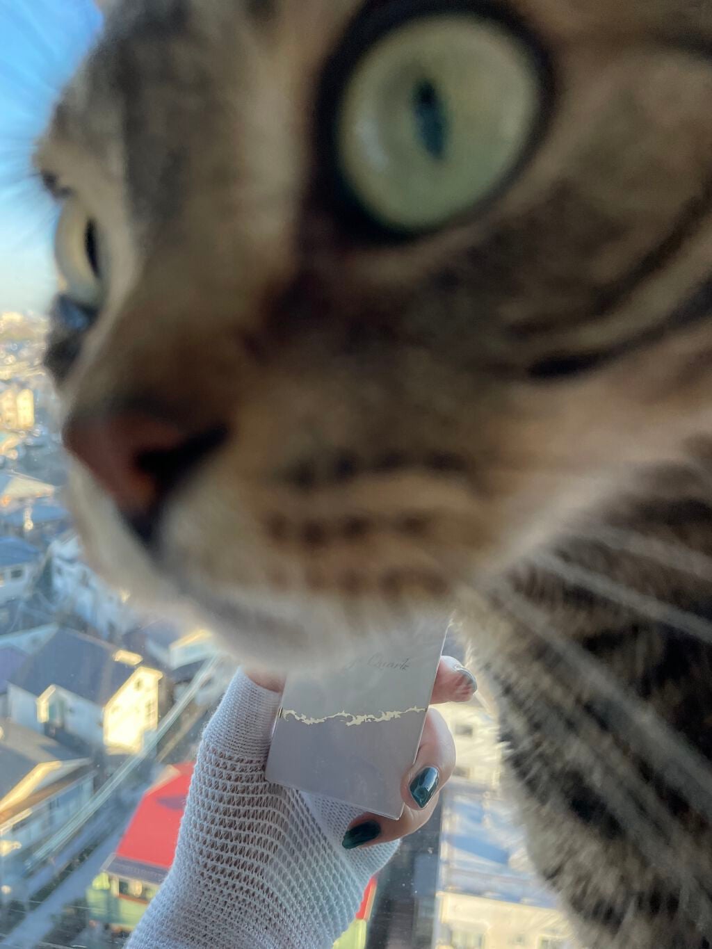 【旧品】パーフェクトスタイリストアイズ/キャンメイク/アイシャドウパレットを使ったクチコミ(5枚目)