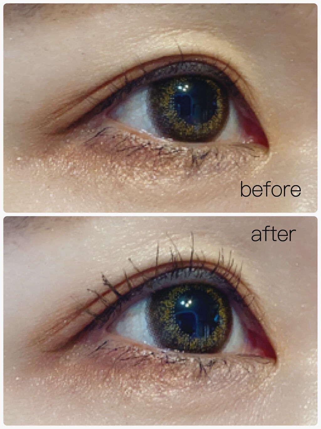 MD インスパイアロングラッシュ カーリングマスカラ/mude./マスカラを使ったクチコミ（3枚目）