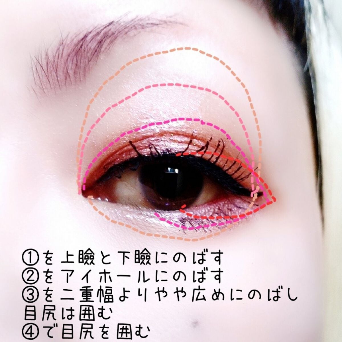UR GLAM BLOOMING EYE COLOR PALETTE/U R GLAM/アイシャドウパレットを使ったクチコミ(3枚目)