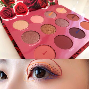 Fem Rosa Karrueche - Pressed Powder Shadow Palette - She/ColourPop/パウダーアイシャドウを使ったクチコミ（2枚目）