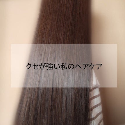 椿ロールブラシ/DAISO/ヘアブラシを使ったクチコミ(1枚目)