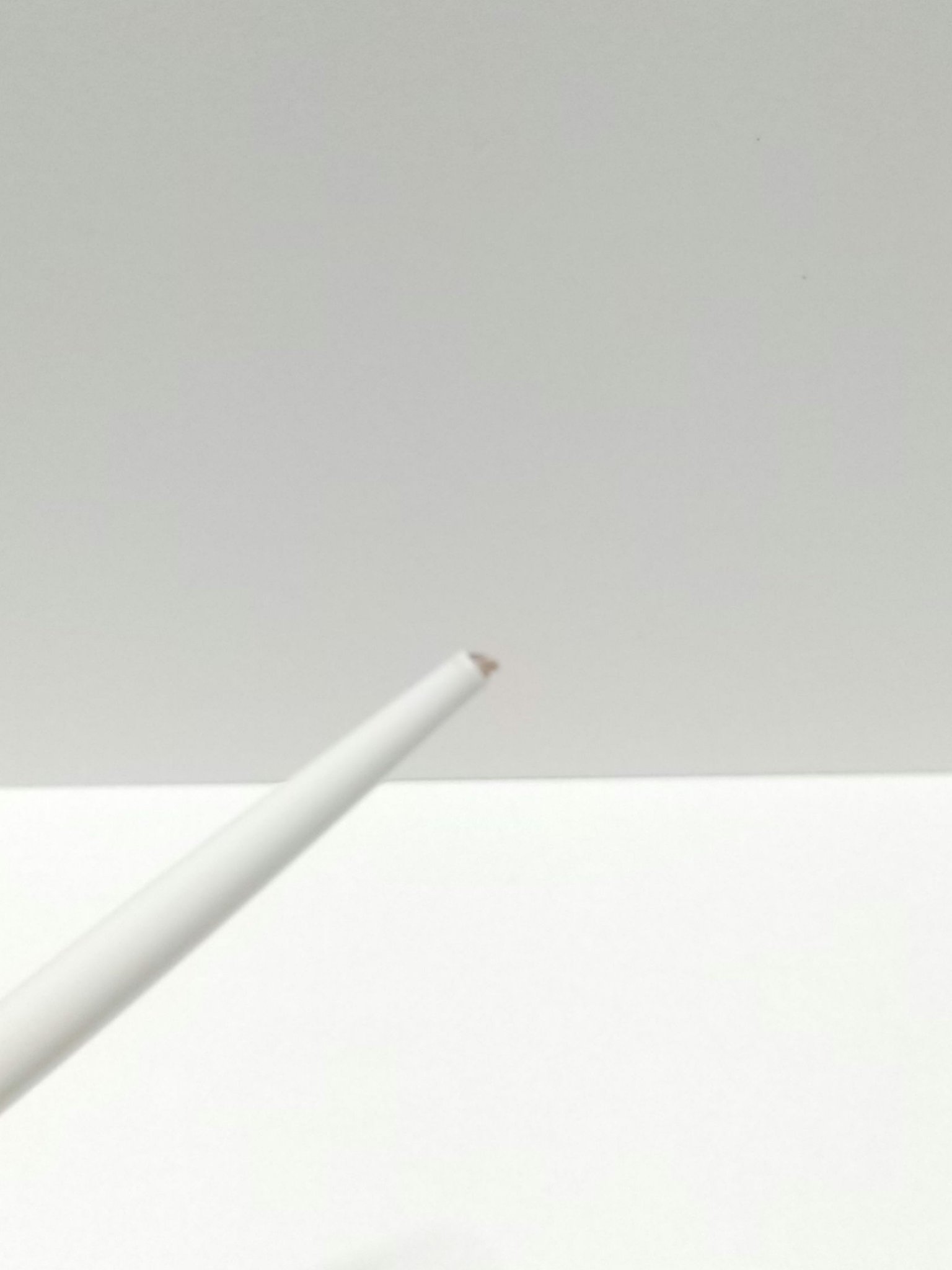 リップトリックライナー H01 無敵ホワイト/キャンメイク/リップライナーを使ったクチコミ（2枚目）