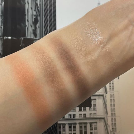 【旧】エクラン クチュール アイ パレット/Dior/アイシャドウパレットを使ったクチコミ(4枚目)