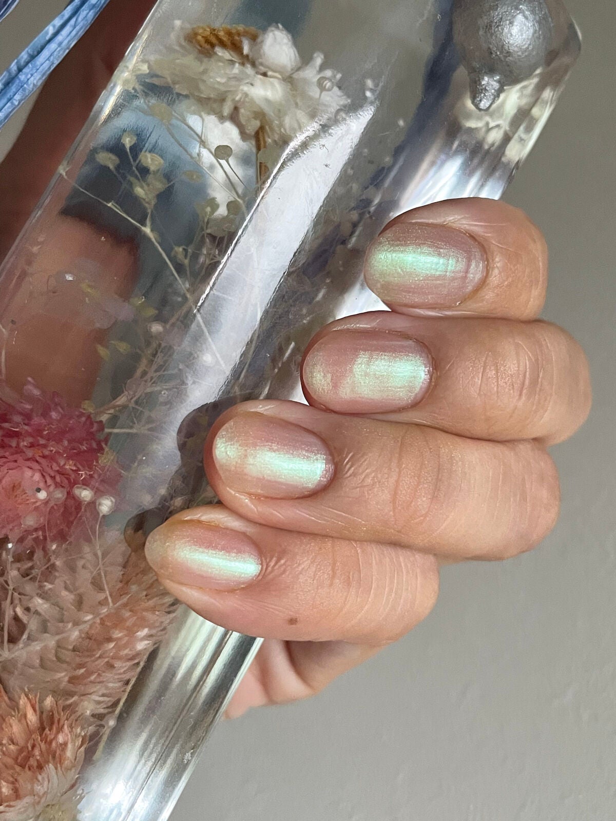 エレガンス ラズル エナメルラッカー/エレガンス ラズル /マニキュアを使ったクチコミ(2枚目)