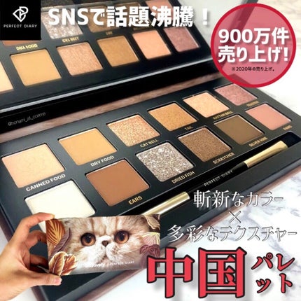 エクスプローラ12色 動物アイシャドウパレット/PERFECT DIARY/アイシャドウパレットを使ったクチコミ(1枚目)