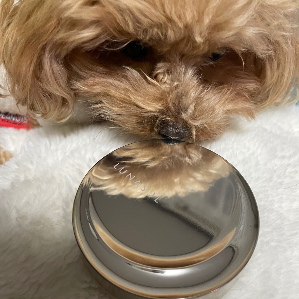 フュージングオイルグロウ コンパクト(スポンジ付)/LUNASOL/クリーム・エマルジョンファンデーションを使ったクチコミ（1枚目）