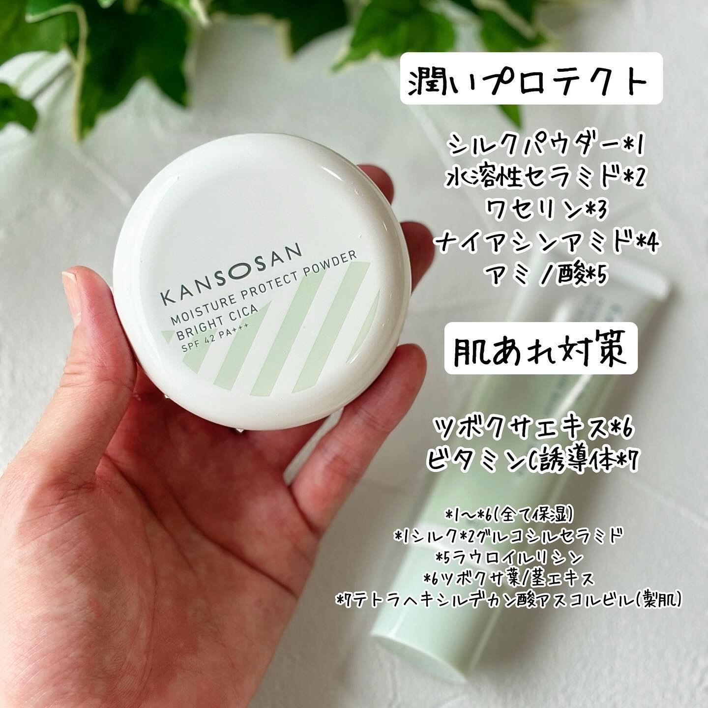 保湿力プロテクトパウダー ブライトシカ/乾燥さん/プレストパウダーを使ったクチコミ（3枚目）