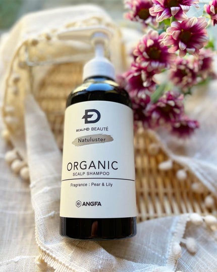 スカルプD ボーテ ナチュラスター スカルプシャンプー/トリートメントパック/アンファー(スカルプD)/シャンプー・コンディショナーを使ったクチコミ(1枚目)