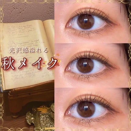 わんだふるアイカラー/KIREI FACTORY/アイシャドウパレットを使ったクチコミ(1枚目)