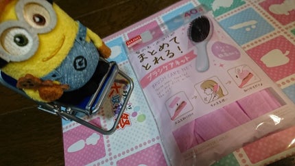 ブラシケアネット/DAISO/ヘアケアグッズを使ったクチコミ(1枚目)